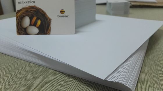 ポリ塩化ビニール カード生産のためのポリ塩化ビニール シートを印刷する高い定義イメージKonicaデジタル